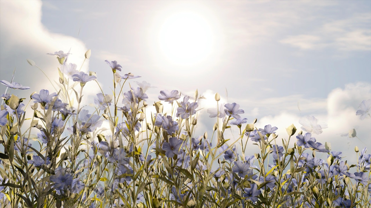 Studies on Breaking Immersion